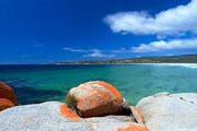 Тасманийский Bay of Fires – лидер списка. // lophoto.com
