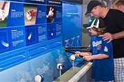 Экспозиция музея заинтересует и взрослых, и детей. // sportsmuseum.com