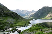 Больше возможностей наблюдения за природой появляется в Шотландии. // 1adventure.com