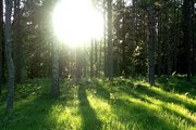 Новый парк станет самой большой природоохранной зоной в республике. // Travel.ru