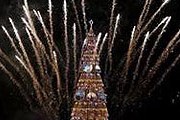 Плавучую ель можно будет увидеть в Рио до 6 января. // Reuters