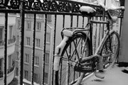 Снегопад застал французов врасплох. // trekearth.com