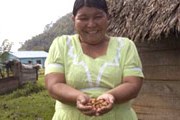 Процесс изготовления шоколада - на фестивале в Белизе. // cottontreelodge.com