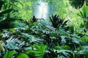 Колумбия бережет свою природу. // ИТАР-ТАСС