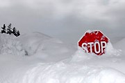 В Татранском парке появятся указатели на английском языке. // GettyImages / Jan Stromme