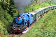 В замок гостей будет отвозить специальный поезд. // wild-cat-20.livejournal.com