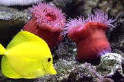 На обновление экспозиции потрачены миллионы фунтов. // Travel.ru