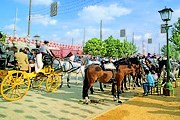 Конные упряжки - единственный разрешенный вид транспорта на ярмарке. // feriadesevilla.andalunet.com