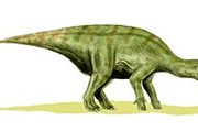 Так выглядели игуанодонты. // Wikipedia