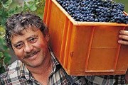 Виноделы Швейцарии ждут гостей. // varen.ch