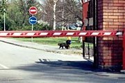 В Ленинградской области восстановлен старый погранпост. // sevlad.ru