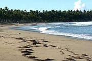 Курорты обезлюдели из-за гриппа. // Travel.ru