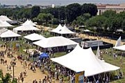 Фестиваль пройдет на территории Смитсоновского музейного комплекса. // festival.si.edu