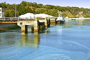 Во время цветения водорослей купаться опасно. // photoukraine.com