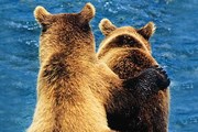 Наблюдение за природой - дешевый и эффективный способ снять стресс. // GettyImages