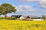 Отель расположен на этой ферме. // hyltebergagard.se