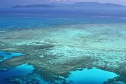 Большой Барьерный риф внесен в Список Всемирного наследия ЮНЕСКО. // Travel.ru