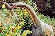 В парке можно будет увидеть фигуры динозавров. // dinozaury.lubi.pl