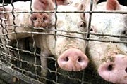Туроператоры спокойны за туристов. // turismnovosti.ru