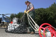 Рейнджеры за работой. // Gary Kazanjian, AP