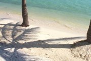 Зимние туры в Гоа начинают бронировать уже летом. // Travel.ru