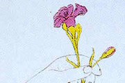 Литография из серии "Золотая книга". // gzt.ru