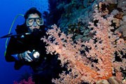 Остров Бонайре набирает популярность у любителей дайвинга. // GettyImages