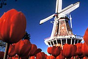 Нидерланды хотят за 5 лет вдвое увеличить турпоток из России. // hogen-mogen.ru