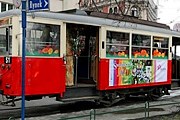 Выставку можно осмотреть на остановках и во время движения. // silesiakultura.pl