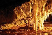 Одна из пещер парка Mole Creek Karst // discovertasmania.com