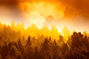 Лесные пожары часто вызывают костры, разожженные туристами. // Paul Giamou