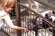 Посетители смогут покормить животных. // wordpress.com