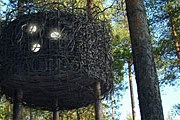 Один из номеров отеля // treehotel.se