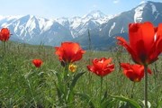 Уникальная природа - визитная карточка Казахстана. // visitkazakhstan.kz