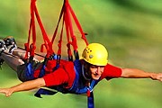 Отдых в парке приключений будет незабываемым. // toroverdepr.com