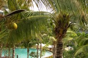 Хайнань - популярный курортный остров. // Travel.ru