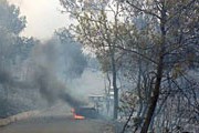 Лесной пожар подобрался вплотную к пляжу. // sphotos.ak.fbcdn.net