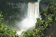 Гайана сохранила уникальные тропические леса. // propertyworld.com