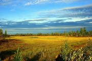 Природа Югры привлекает все больше туристов. // Олег Авдеев