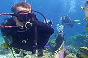 Остров Лизард расположен близ Большого Барьерного рифа. // lizardisland.com.au