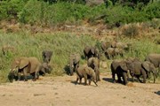 У туристов есть шанс стать первооткрывателями Экваториальной Гвинеи. // puretravel.com