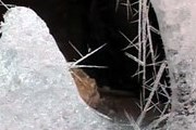 Кунгурская ледяная пещера - уникальный природный памятник Пермского края. // Первый канал