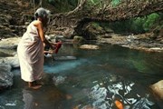 Местные жители ухаживают за мостами. // treehugger.com