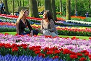 В парке Кёкенхоф // keukenhof.nl