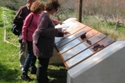 Маршрут оборудован специальными средствами для слабовидящих. // greek.ru