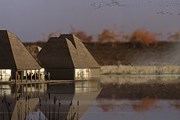 Дома на воде в экодеревне Брокхолс // telegraph.co.uk
