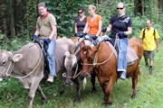 Прогулки проводятся группами от 4 человек. // schaffhauserland.ch