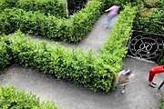 Гости замка смогут прогуляться по лабиринту-кроссворду. // ilovecz.ru