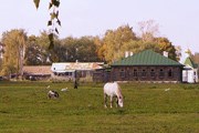 Родина Есенина станет комфортнее для туристов. // venividi.ru