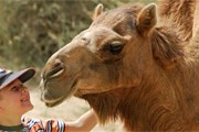 "Пустынное ранчо" предлагает отдохнуть на природе. // chatru.com